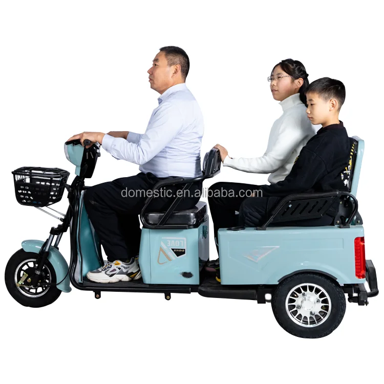 1000W 48V 3 wheel passenger electric tricycle passenger and cargo three wheel electric vehicle electric tricycles for adults