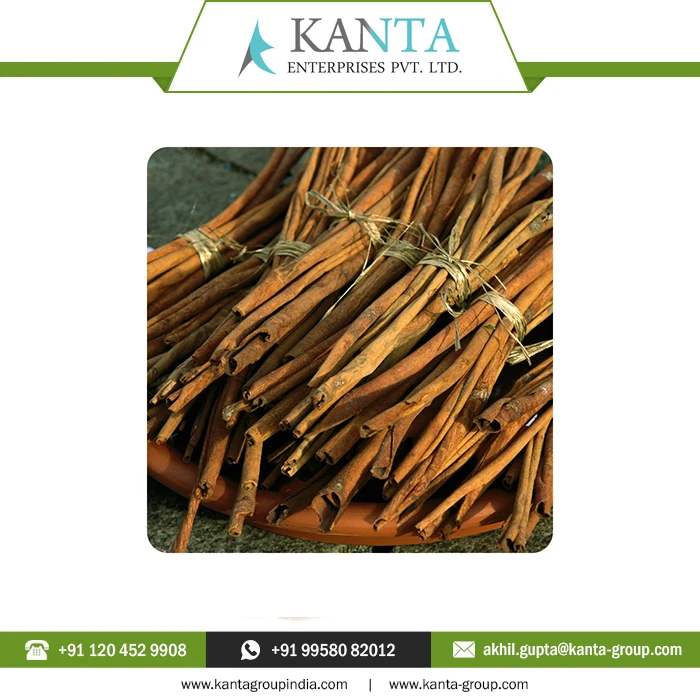 Best Selling Medically Tested Cinnamon Essential Oil Fight bacteria, parasites and fungi at Low Price