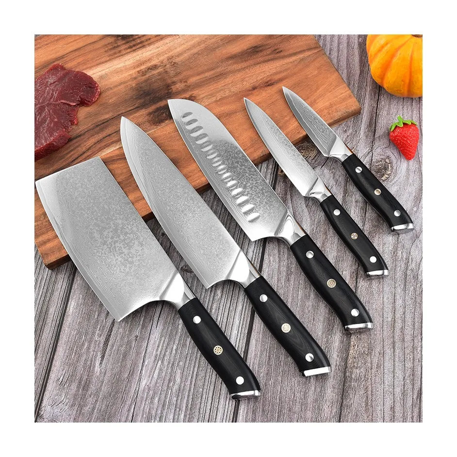 
Fruit Fish Fillet Carving Knives 5pcs Damascus Knife Set 67 Layers Vg10 Knife Set With g10 Handle 