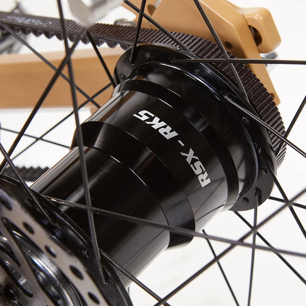 MD1000 electric bike bolton warthog ebike belt drive 1000w e bike with dual 2 batteries