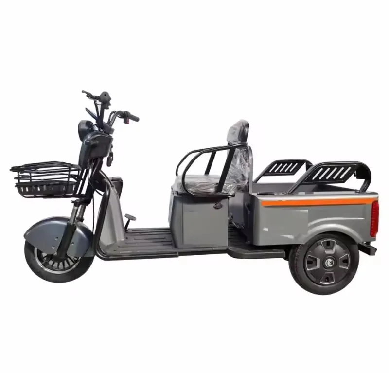 Custom colors cargo electric trike China fat tire electric scooter modern style electric adult tricycle