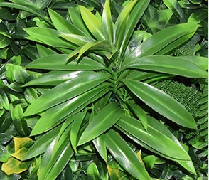 100*100The background wall simulates the outdoor plant wall decorated with Milanese plastic flower wall