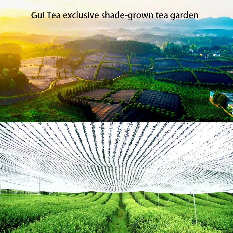 Gui Tea 30g Tin Pack OEM Available 100% Pure Ceremonial Grade Matcha Green Tea Powder
