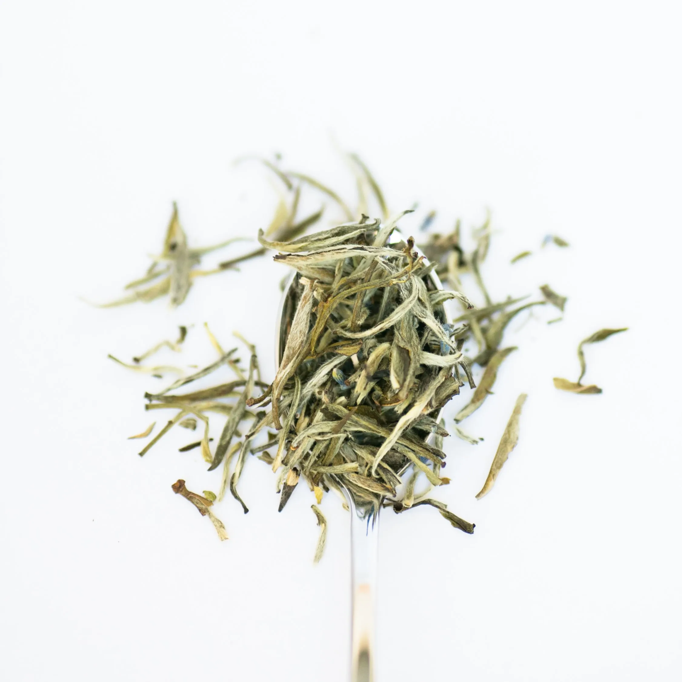 Orginal Farm Chinese Silver Needle White Tea Bulk Eastern White Pine Tea English Te Shop White Tea