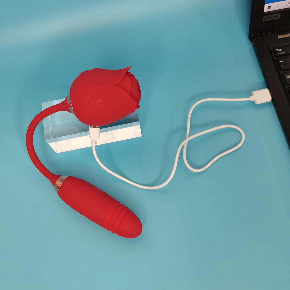 Charger  for Rose Sex Toy Vibrator, Regular Rose Vibrator  Charger  , Rose With Tongue Charger