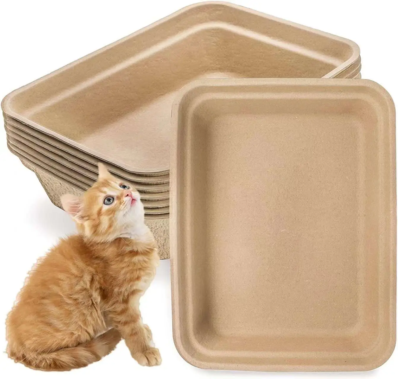 China supplier kitten pets products disposable cat litter box good quality robust molded pulp insert tray