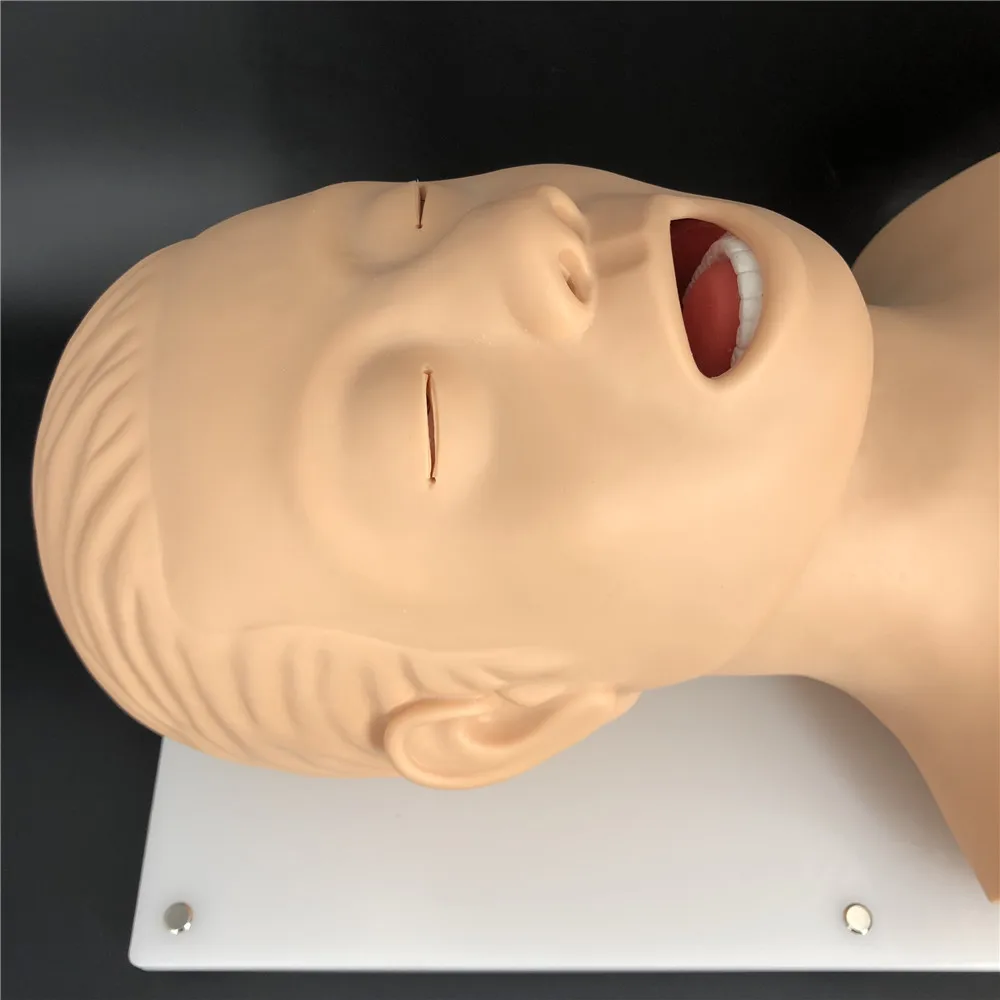 Endotracheal Intubation Training Manikin, intubation training device