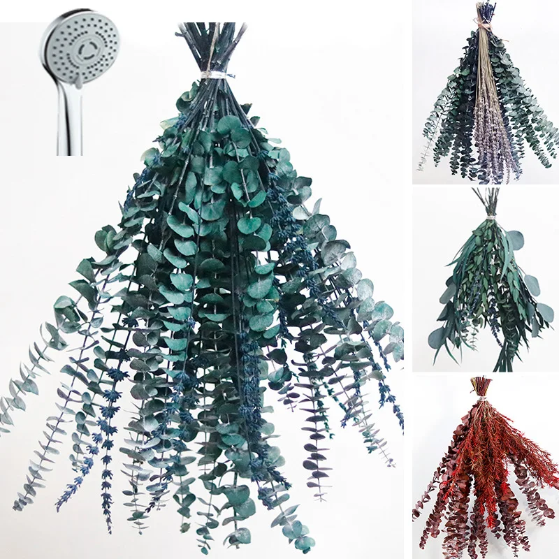 Preserved natural dried Eucalyptus Leaves green round leaf branches flower, Hanging Fragrance Real Plant, flower arrangement