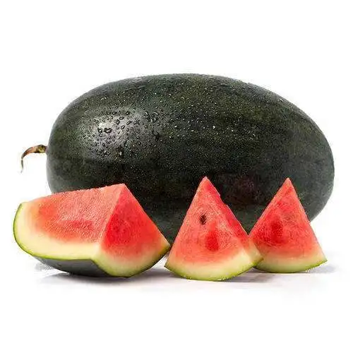Factory Direct Sales Fresh Watermelon Retail Price Fresh Juicy Watermelon Organic Vietnamese Black  Watermelon