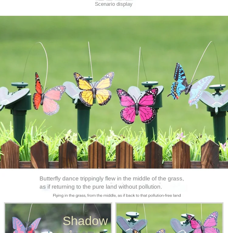 Butterfly details page_06