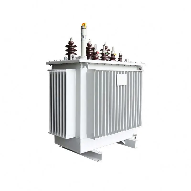 
[Customized] SNTOOM 11KV Oil Immersed Transformer 50KVA Three Phase Power Transformer 