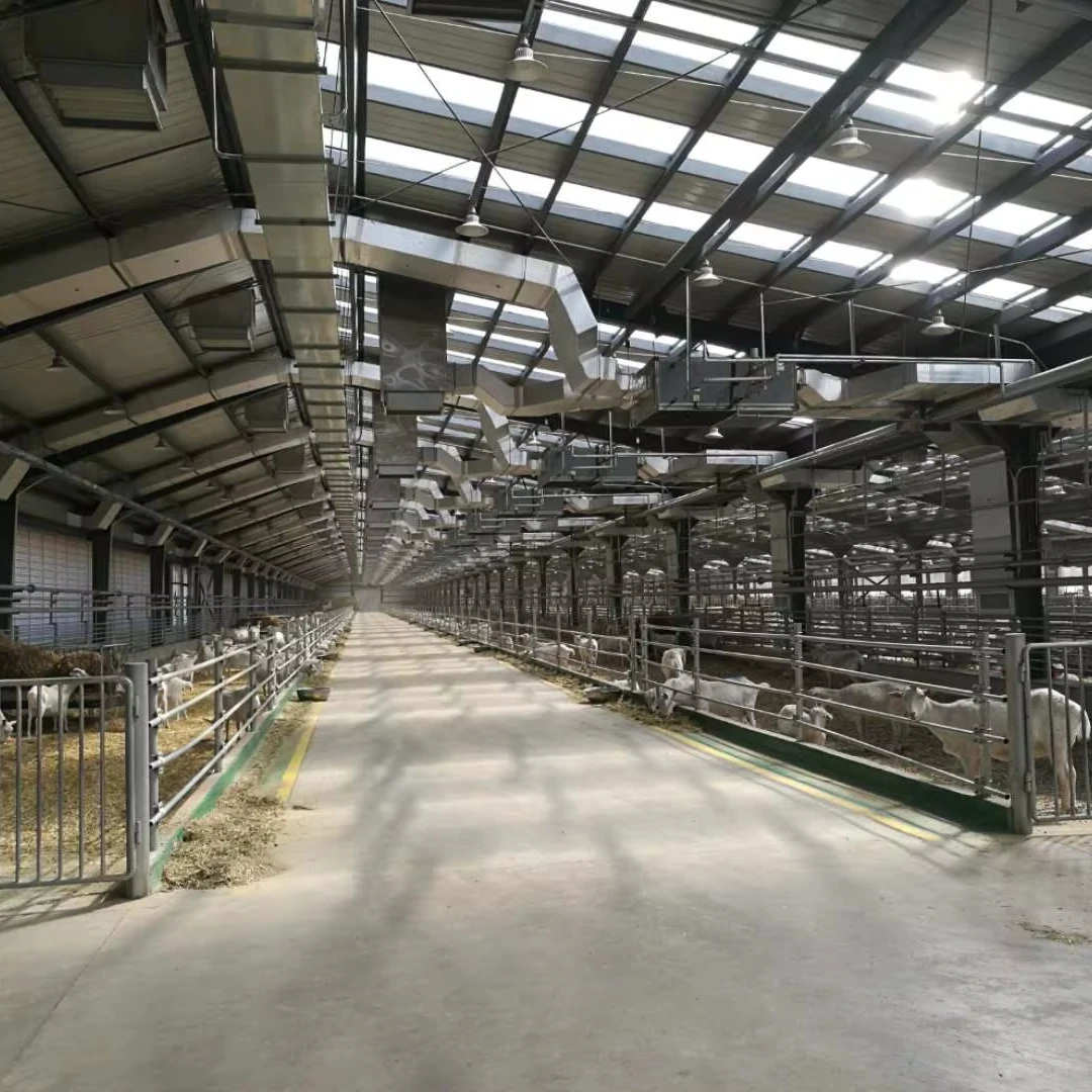 Modern Design Cattle Shed Steel Structure Farm House for Pig and Cow Breeding Durable Metal Building Materials
