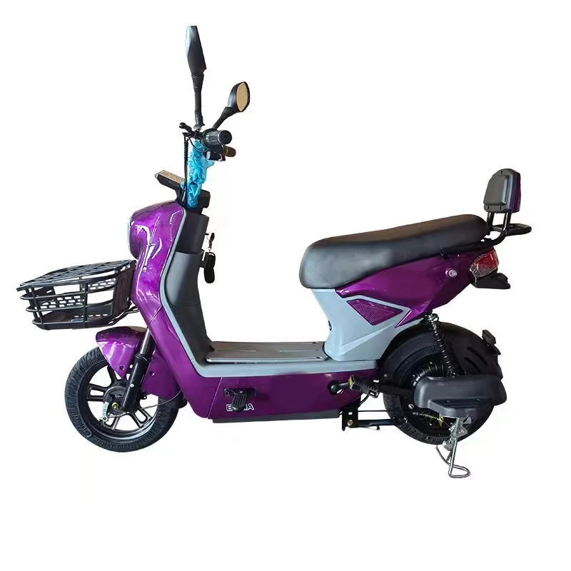 Paige Electric Bicycle Dual Motor 28 Inches Battery 48V Mini Ebike 150Km Range Oem Electric Bike 20 Inch Ideal