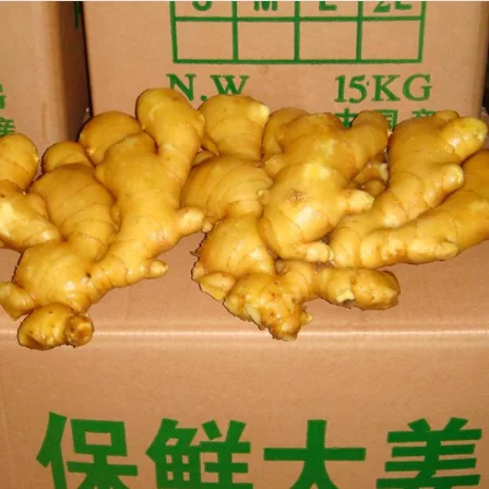 Factory Supply High Quality Ginger Price for Sale