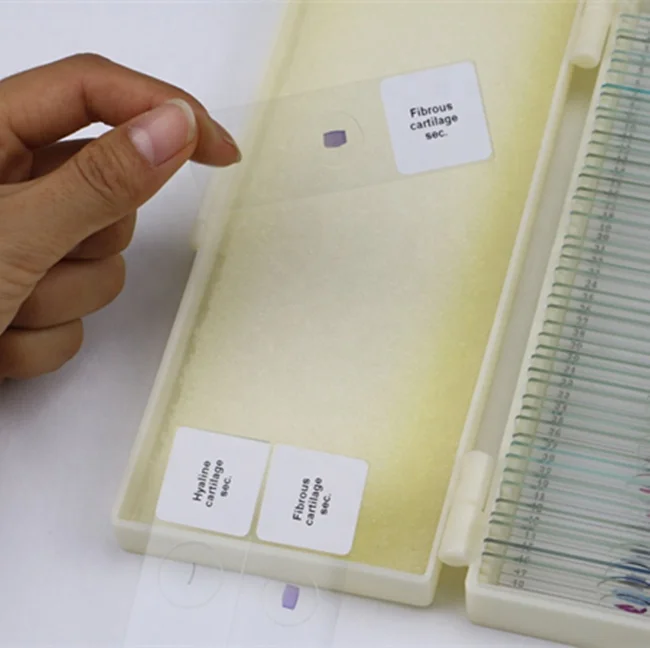 Laboratory apparatus zoology microscope slide for searching use