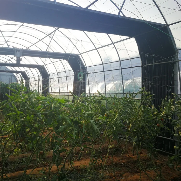 Easily Assembled Tunnel PC Sheet Light Deprivation greenhouse for mushrooms growing