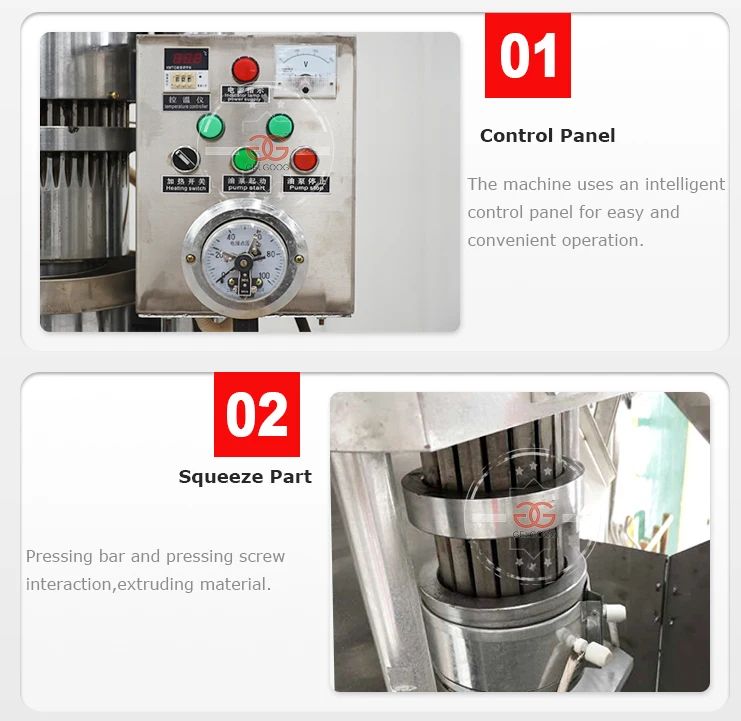 Gelgoog Saudi Arabia Hot And Cold Oil Extraction Grape Seed Canola Oil Press Machine