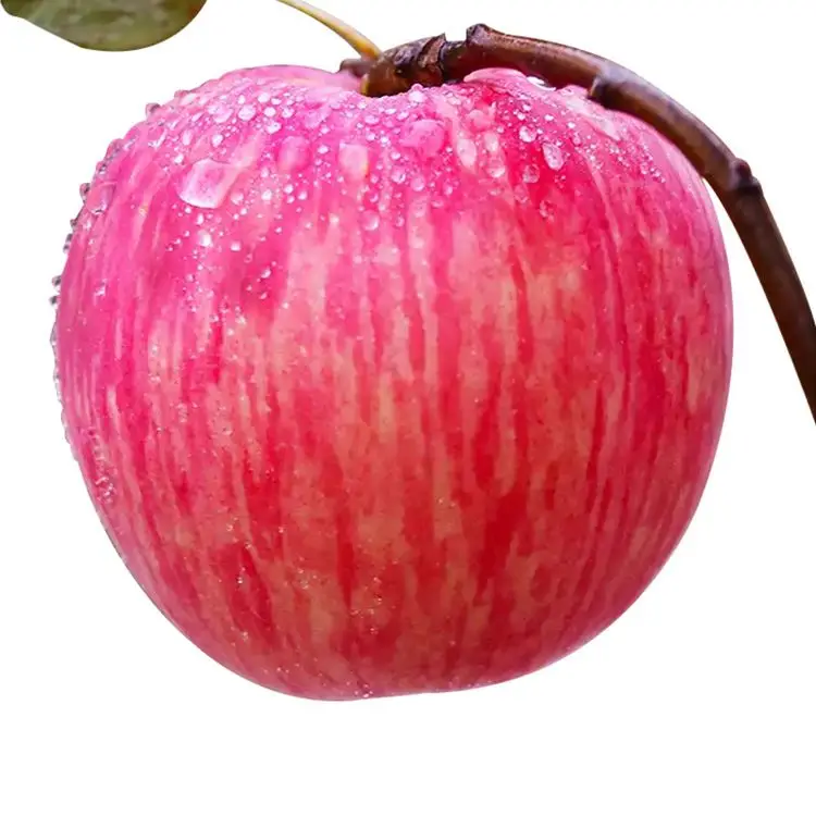 
Hot Sale Product Big Fruit Red Sweet Apple Bulk Fresh Apples 