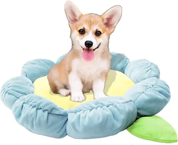 FMT 2023 New LuxuryHigh Quality Dog Sofa Bed with Dog Bed Luxury Cover Dog Cushion Pet Bed