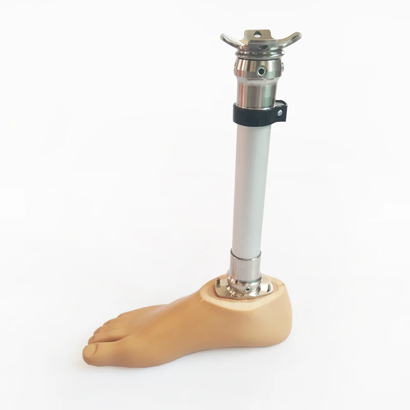Manufacturer Supplier Artificial Limbs Leg orthopedic Prosthetic Below Knee joint for prosthesis Leg