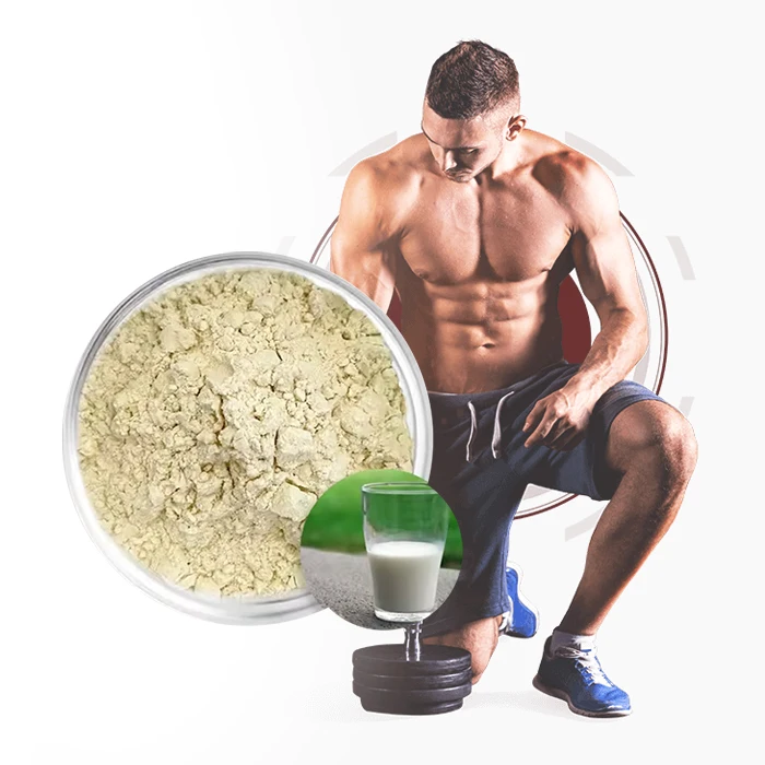 OEM Low Price Whey Protein Powder Concentrated 80% Body Building Drink Mix Promote Muscle Growth Protein Powder