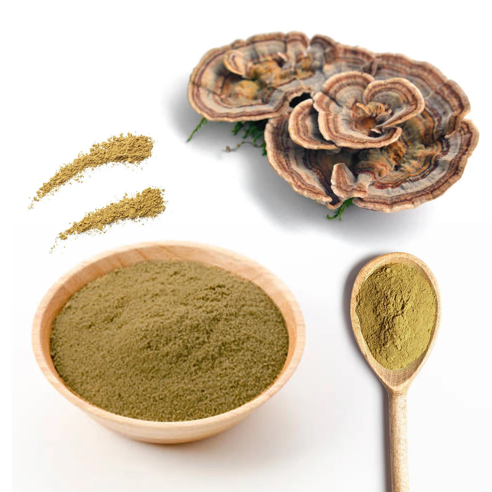 Organic Turkey Tail Mushroom Powder Natural Mushroom Supplement, Contains PSP and PSK, Pet Friendly