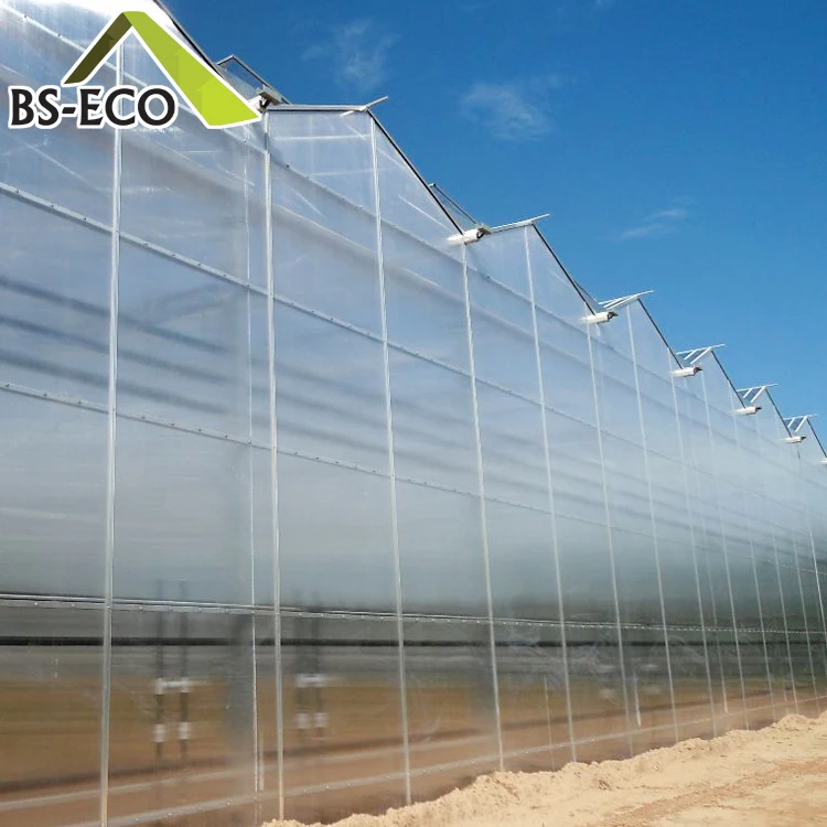 Multi Span Pc Sheet Greenhouse With Aquaponics Growing Systems