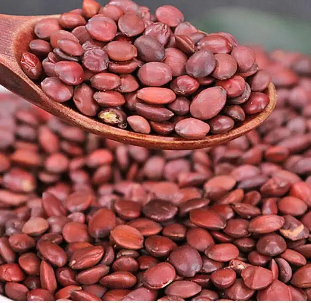 Hotsale natural wild spice dry raw Spina Date Seed