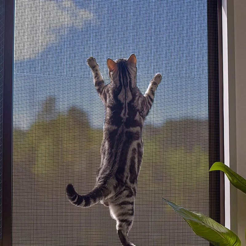 Factory Wholesale Mosquito Net Window Screen Stainless Steel Window Screen Netting