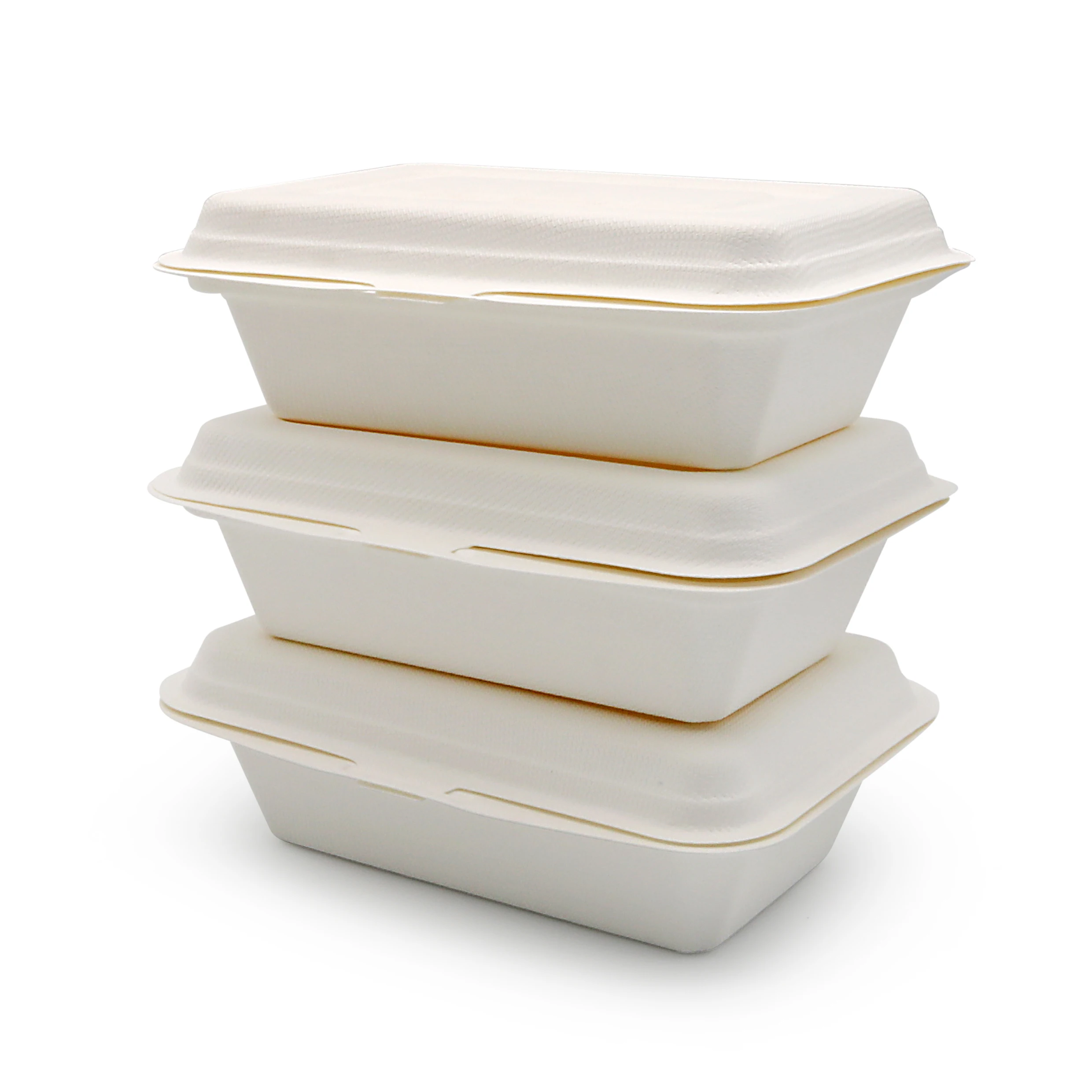 Custom PFAS Free Eco Friendly Take Away Out Biodegradable Packaging Disposable Food Container Degradable Bento Lunch Box