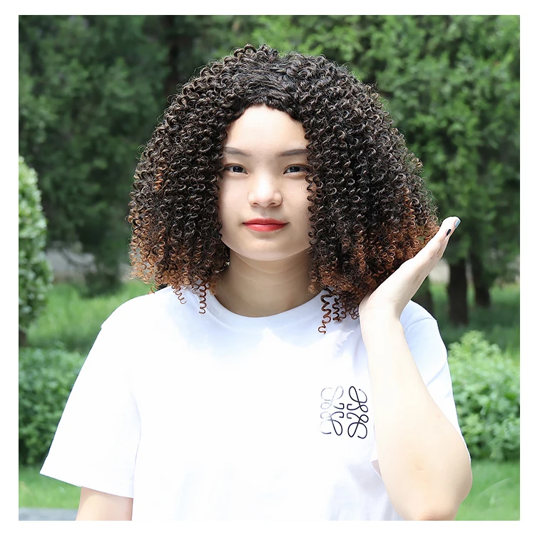 Heat Resistance Wigs Curl With Highlights Short Premium Fiber Wholesale Heat Resistant Afro Curls Wigs Synthetic Hair Wig