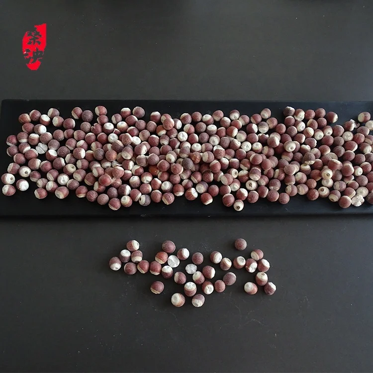 Gorgon made with bulk medicinal materials for sale