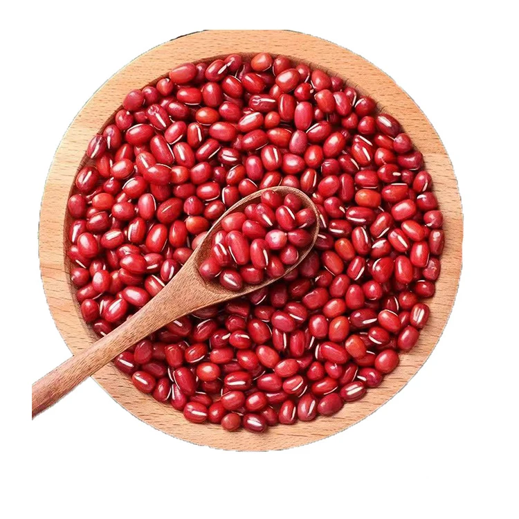 Competitive Price Good Quality Red Bean Stout Big Size Red Kidney Bean