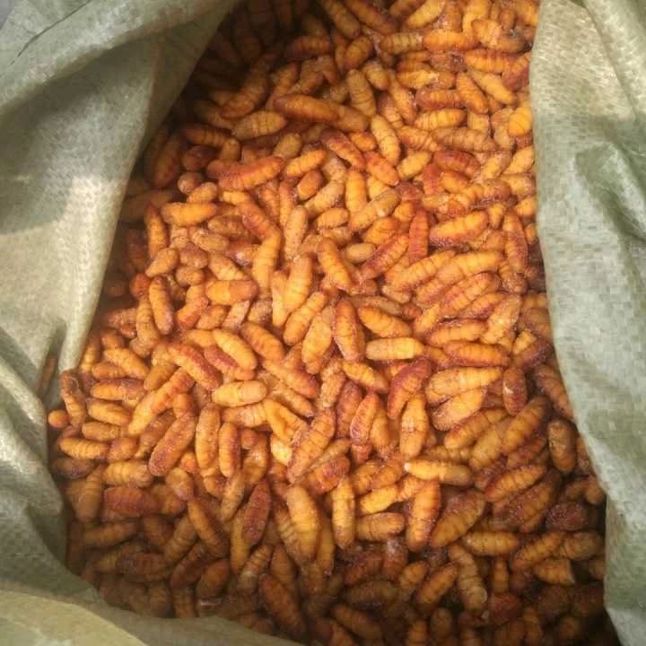
SANFENG SEAFOOD Wholesale Frozen Silkworm Chrysalis Frozen 