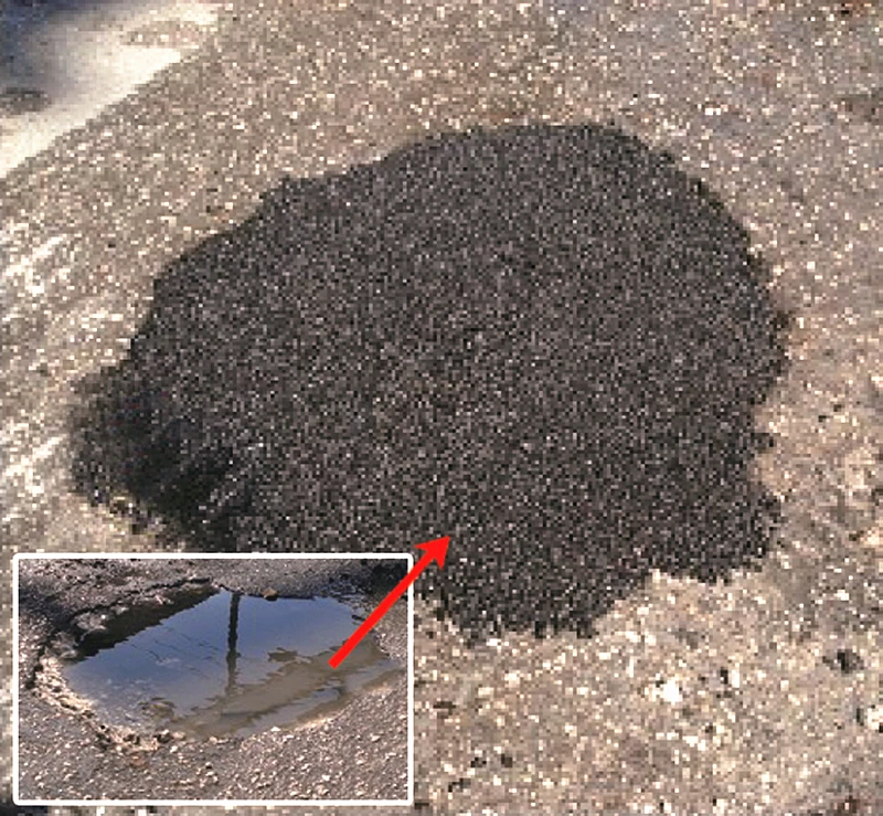 pavement rutting emergency cold Asphalt from Roadphalt