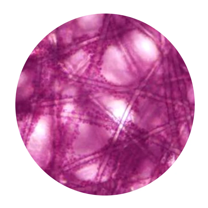 Cell Culture Flake Bioreactor Carrier To Make Stronger Cell Adhesion Performance To Sufficient Surface Area For Cell Growth