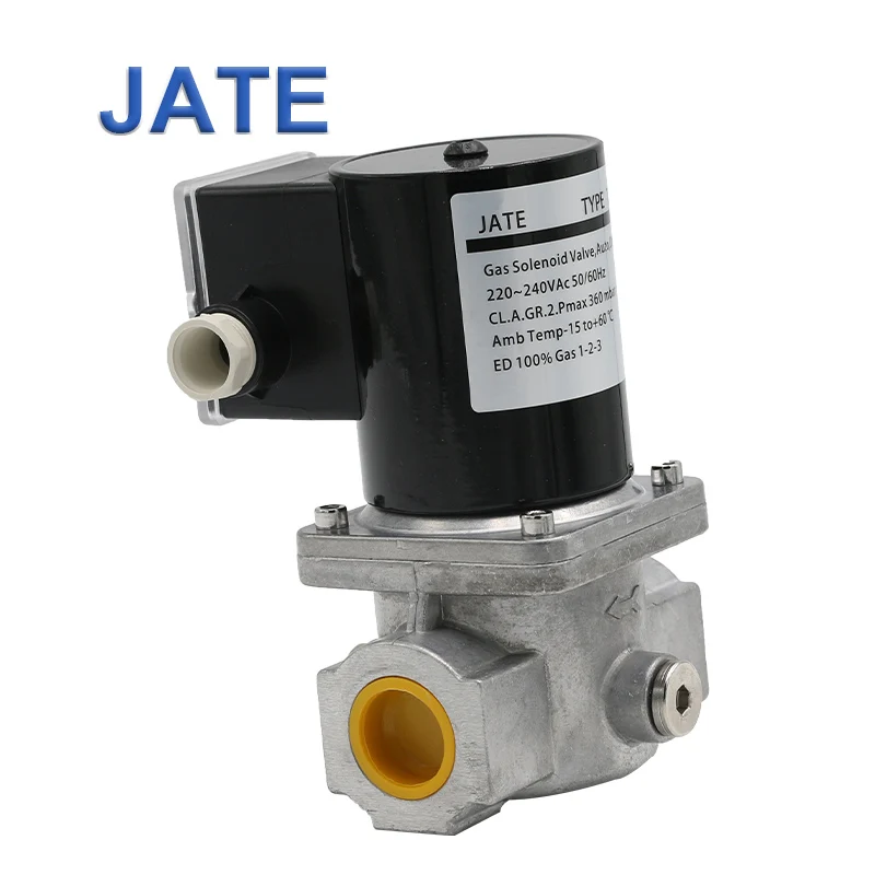 JATE TE4020 Solenoid Control Valves The Electromagnetic Valve for Gas Burner Parts Black Normal Temperature General 220V/110V AC