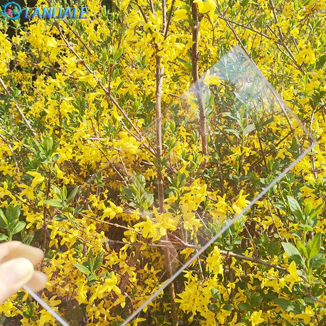 Factory direct pc endurance plate transparent plastic plate processing cutting hole large size outdoor durable