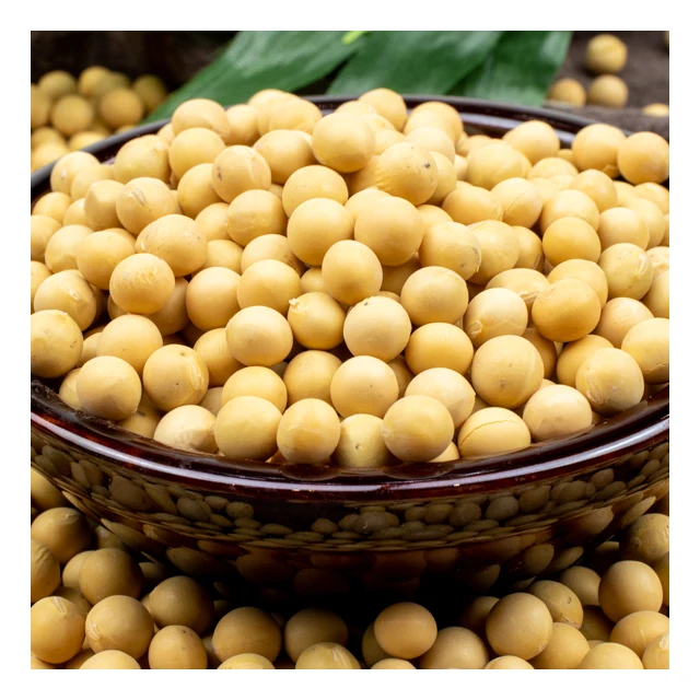
OEM Wholesale For Human Foods Non Gmo Soybeans Seeds 