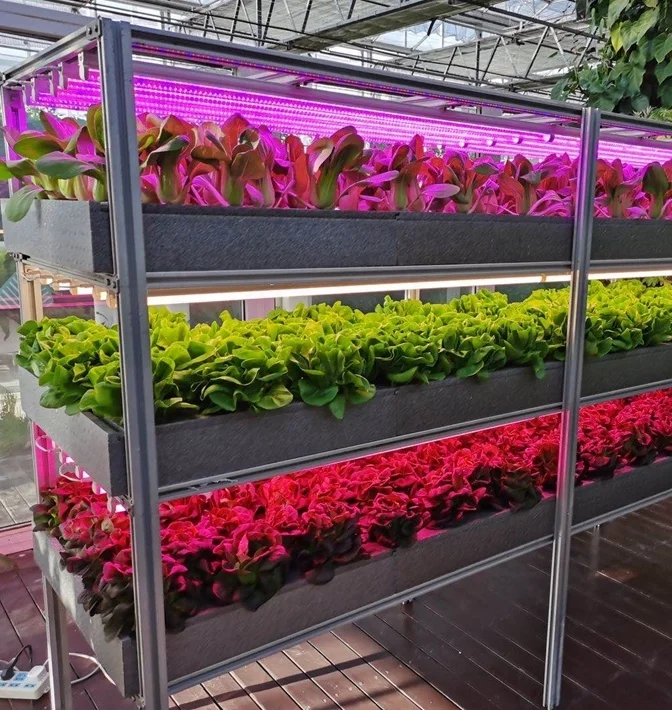 Vertical Hydroponics Container Vertical Farming Systems Commercial Greenhouses