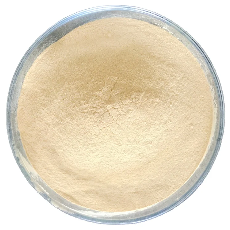 
Protein 60% - 70% Soya Bean Meal for Animal Feed, Blood Meal, Fish Meal 