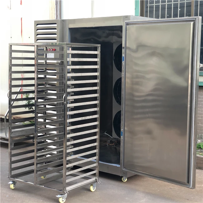 Factory Direct Industrial Blast Freezer - Energy-Efficient Shock Freezing