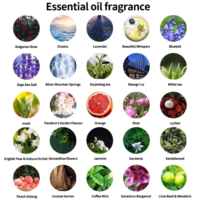 OEM Pure Natural Essential Oil Diffuser Humidifier with Perfume Feature Private Label Fragrance Oil