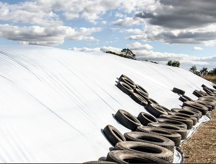 Polyethylene Silage Cover Panda Sheet Film Sheltering Trench Black and White silo film