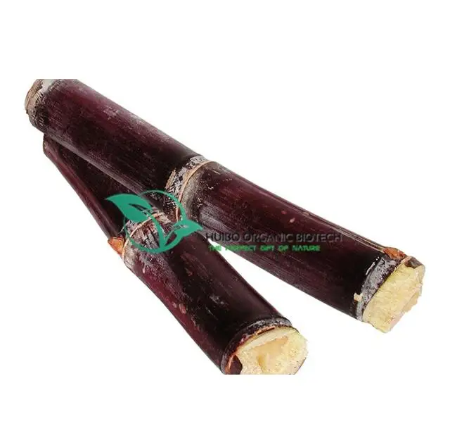 instant sugarcane powder / sugar cane powder for drink