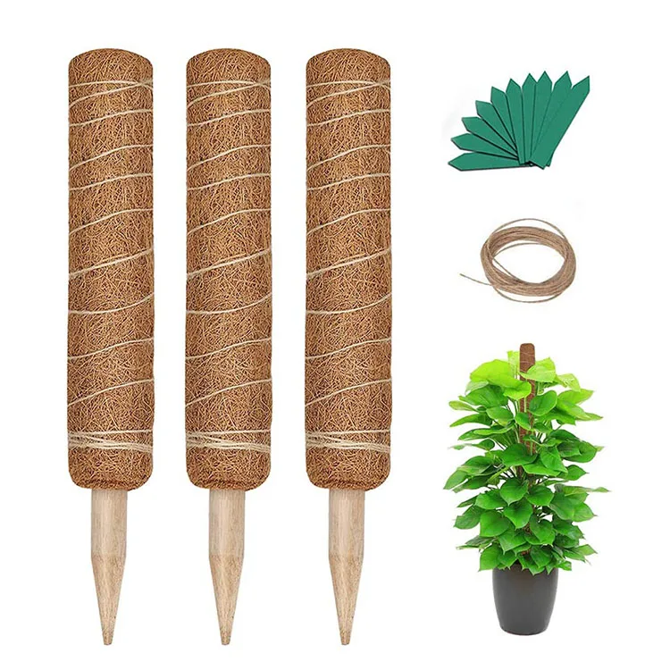 Grow upwards use indoor individually together potted stake support climbing plant totem coir pole monstera plants