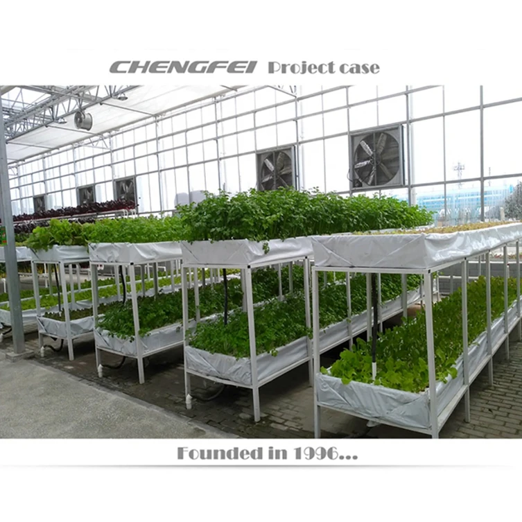 Small Indoor Greenhouse Vertical Hydroponic Growing System Agricultural Greenhousese For Display Class