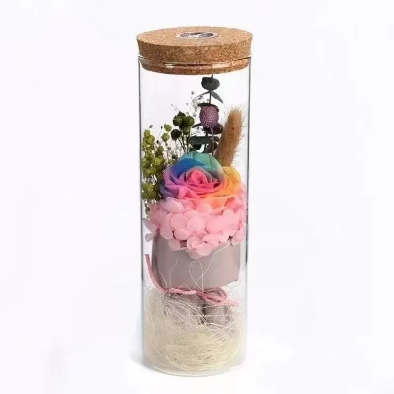 Nordic Tall Cylinder Clear Glass Vase Home Decor Wedding Desktop Micro Landscape Tree Bonsai Small Tabletop Vase Transparent