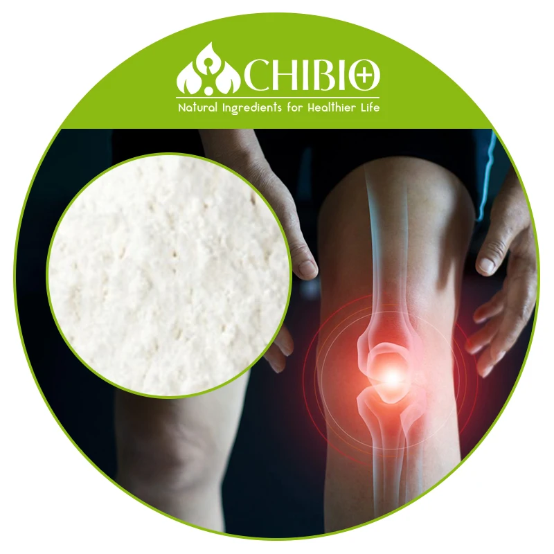 Food Grade 99% Purity Glucosamine Collagen Powder Manufacturer Supply for Treat Osteoarthritis