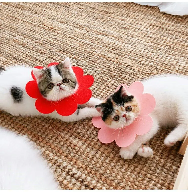 New design felt cute flower cat protection collar dog anti bite and lick pet product pet anti bite colar